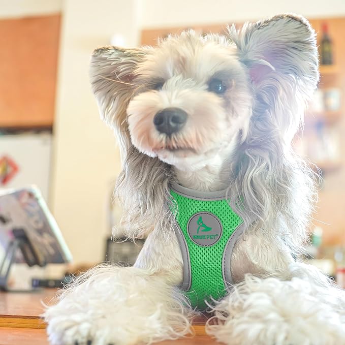 Kruz Dog Harness (Chest 13.5"-14", Weight 4–6 lbs) Athletica Adjustable Heavy Duty No Choke Puppy Vest for Small Dogs Lightweight Air Mesh, Reflective, Puppy Essentials – Mint Green, X-Small