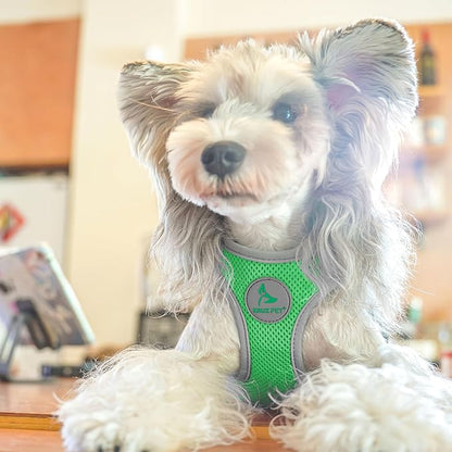 Kruz Dog Harness (Chest 13.5"-14", Weight 4–6 lbs) Athletica Adjustable Heavy Duty No Choke Puppy Vest for Small Dogs Lightweight Air Mesh, Reflective, Puppy Essentials – Mint Green, X-Small