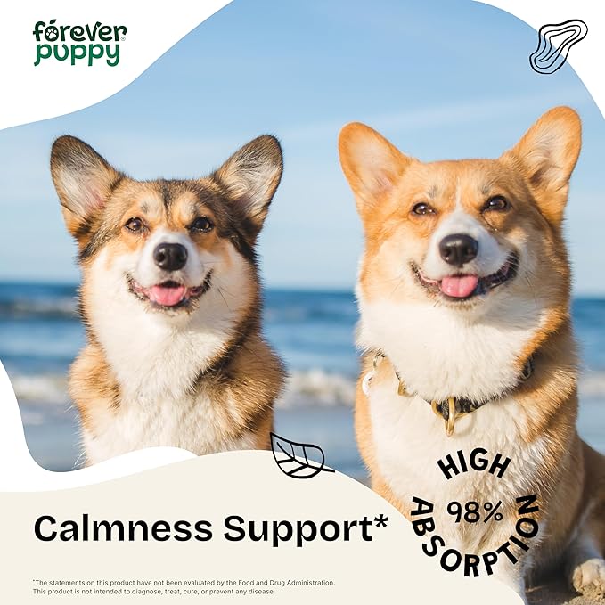 Forever Puppy Calming Drops for Male Dogs - Liquid Ashwagandha Root & Passion Flower Extract for Composure - Relaxation & Mood Support Supplement for Dogs of All Breeds & Sizes - 4 oz