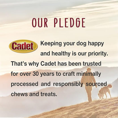 Cadet Stuffed Shin Bone, Long-Lasting Dog Chew Bones for Aggressive Chewers, High Protein Filled Bone Dental Chew for Dogs, Chicken Flavor Filling, 3-4" for Small Dogs