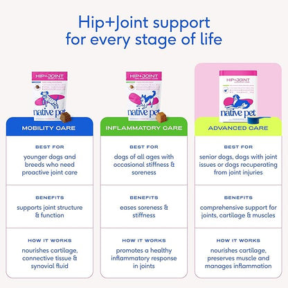 Native Pet Hip & Joint Advanced Care Dog Joint Supplement Powder for Mobility & Movement Support, Joint Supplement for Dogs with HMB, UC-II Collagen, Green Lipped Mussel & Hyaluronic Acid-120 Scoops