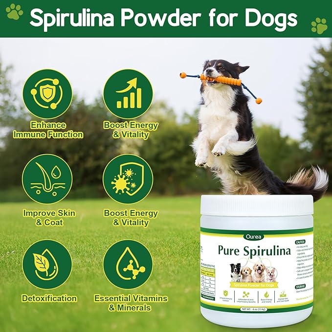 Organic Spirulina Powder for Dogs – Natural Superfood Supplement for Skin, Coat & Immune Health – 100% Pure Green Algae, No Fillers, No Additives, Boosts Energy & Vitality