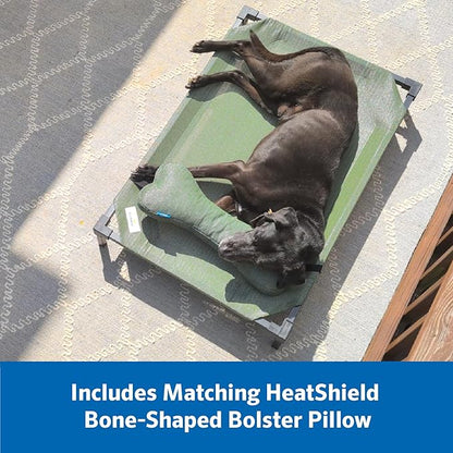 Coolaroo Pro Elevated Dog Bed with HeatShield Fabric – Advanced Cooling Raised Cot for Small & Medium Breeds, Easy-Clean, Low-to-Ground Access, Bonus Bolster Pillow – Pacific Crest Blue