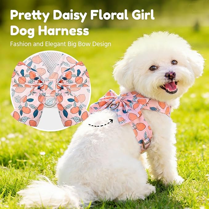BAEJMJK Dog Harness and Leash Set with Bow Knot No Pull Pet Floral Harness with D-Ring Soft Mesh Dog Harness Vest Set Escape Proof Princess Puppy Harness for Small Girl Dogs Cats（Orange XS）