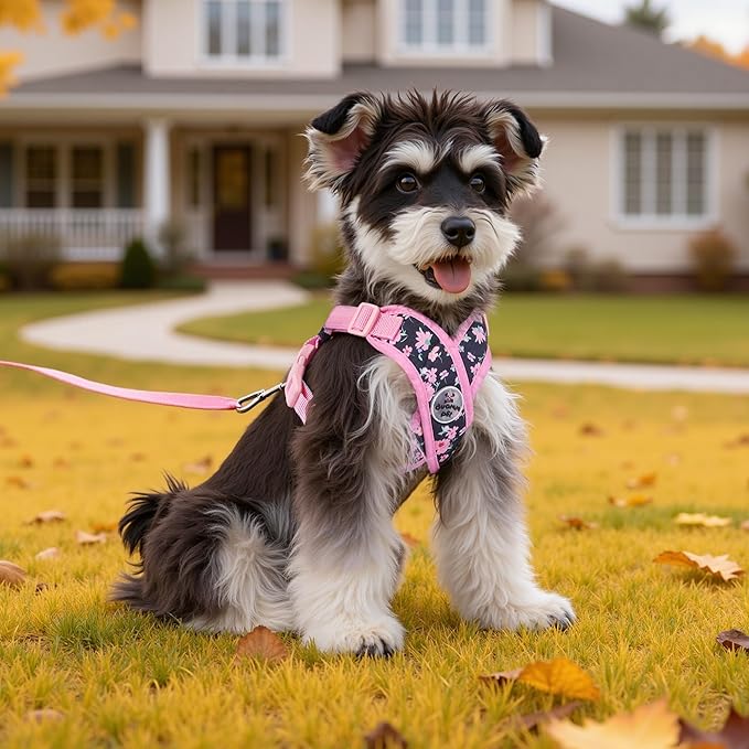 Patas Lague Dog Harness with Leash Set Adjustable Soft Padded Step-in Dog Vest No Choke No Pull Reflective for Medium Pets with Poop Bags and Dispenser, Solid and No-chew, Floral Pink L