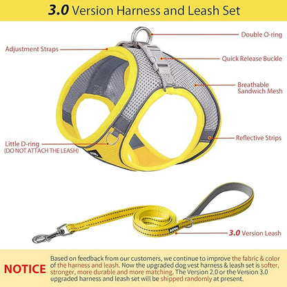 AIITLE No Pull Dog Harness and Leash Set, Step in Adjustable Dog Harness with Padded Vest for All Weather, Dog Leash with Soft Padded Handle, Easy to Put on Small and Medium Dogs Yellow S