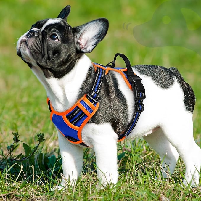 Eagloo Dog Harness Small Sized Dog, No Pull Service Vest with Reflective Strips and Control Handle, Adjustable and Comfortable for Walking, No Choke Pet Harness with 2 Metal Rings, Blue & Orange, S