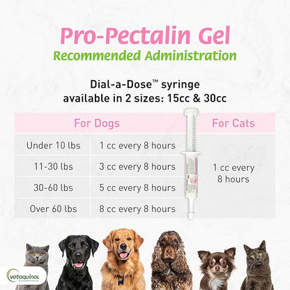 Vetoquinol Pro-Pectalin Oral Paste for Dogs & Cats, Helps Relieve Occasional Diarrhea, Situational Diarrhea Relief with Kaolin and Pectin, Contains Beneficial Probiotic Bacteria, 30cc - Pack of 2