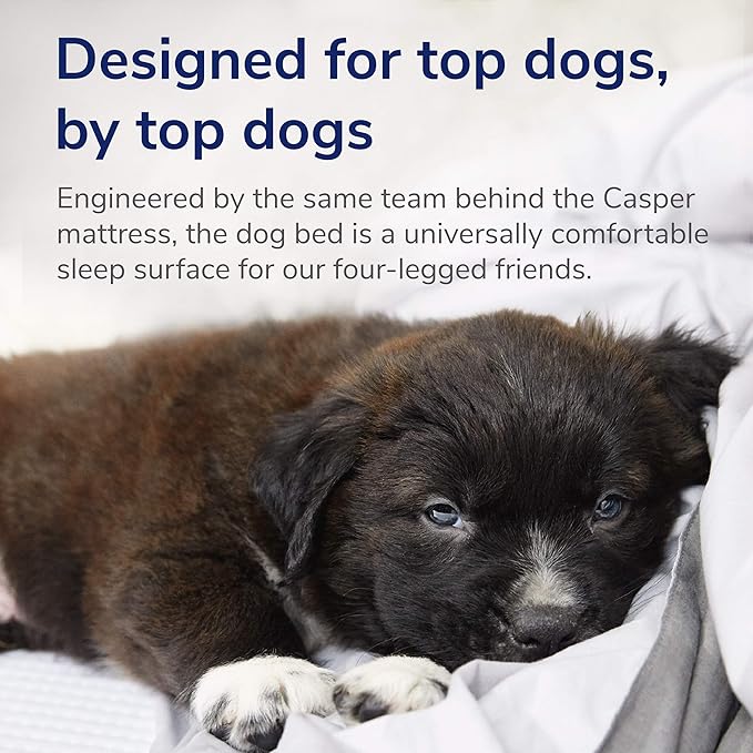 Casper Dog Bed, Plush Memory Foam, Large, Gray
