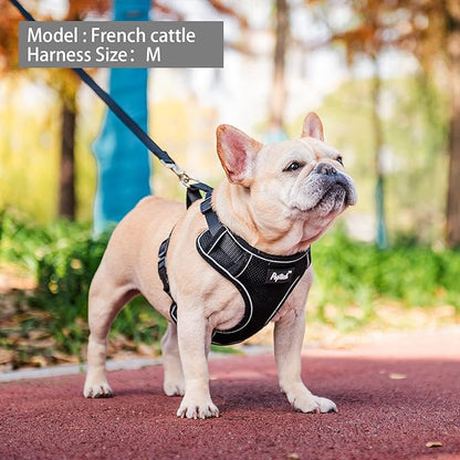 PUPTECK Small Dog Harness and Leash Set, No Pull Adjustable Puppy Cat Harness, Reflective Soft Mesh Pet Vest Small Sized, Black, M