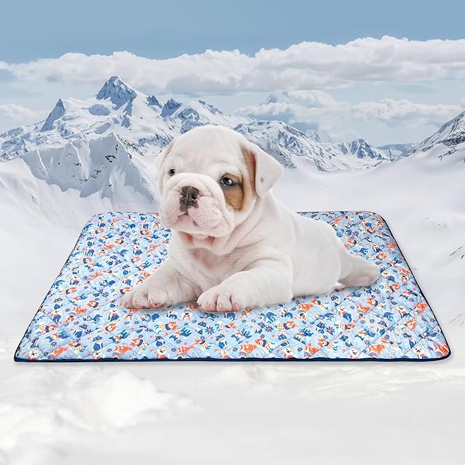 Tuiskusa Premium Cooling Blanket for Dogs Pet Cooling Pads Washable Pet Cool Mat for Cats Hot Weather Puppy Lightweight Throw Calming Pad(28x40 inches)