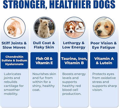 Just Try 300 Bites Multivitamin 23-in-1 for Dogs with Chondroitin Sulfate, Omega-3, Joint and Skin Support, 300g