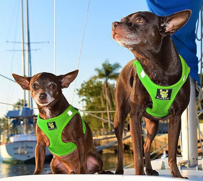 EcoBark Step in Dog Harness - Eco-Friendly Dog Harnesses for for Small & Medium Breed Dogs - Reflective and Adjustable Chest Body Halter Vest -Soft Luxurious Mesh (Green, XL)