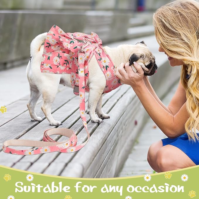 Sanwuta 4 Pack Harness Dog Dress Bowknot Leash Set Floral Princess Dog Harness Dress Vest with Leash Pet Doggy Outfits for Outdoor Walking, 4 Colors(Small)