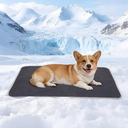 Cooling Blanket for Dogs - Q-MAX>0.4, Lightweight Pet Throw Blanket Furniture Protector, Breathable Fill and Soft Washable Cooling Mat for Summer, Grey, 30x40