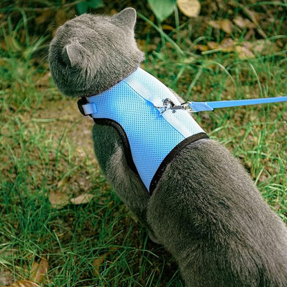 PUPTECK Soft Mesh Cat Vest Harness and Leash Set Puppy Padded Pet Harnesses Escape Proof for Cats Small Dogs, Blue Large