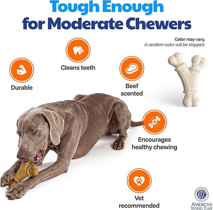 American Kennel Club Training Dog Chew Toy, Nylon Y-Shaped Bone, Durable Dog Toy for Moderate Chewers, Beef Scented for Long-Lasting Engagement, Supports Dental Health