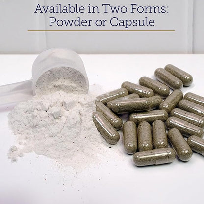 Rx Vitamins MegaFlex - Glucosamine Sulfate with MSM - Cat & Dog Hip and Joint Supplement - Contains Vitamin C and Sea Cucumber - Supports Joint Health and Flexibility - 600g