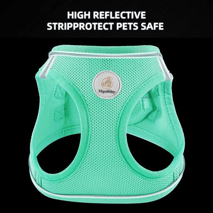 Hipubby Dog Harness and Leash Set, No Pull Soft Mesh Puppy Harness for Small Medium Dogs, Cats - Step in Reflective Breathable Lightweight Vest Harness for Walking, Training - Green, XXS