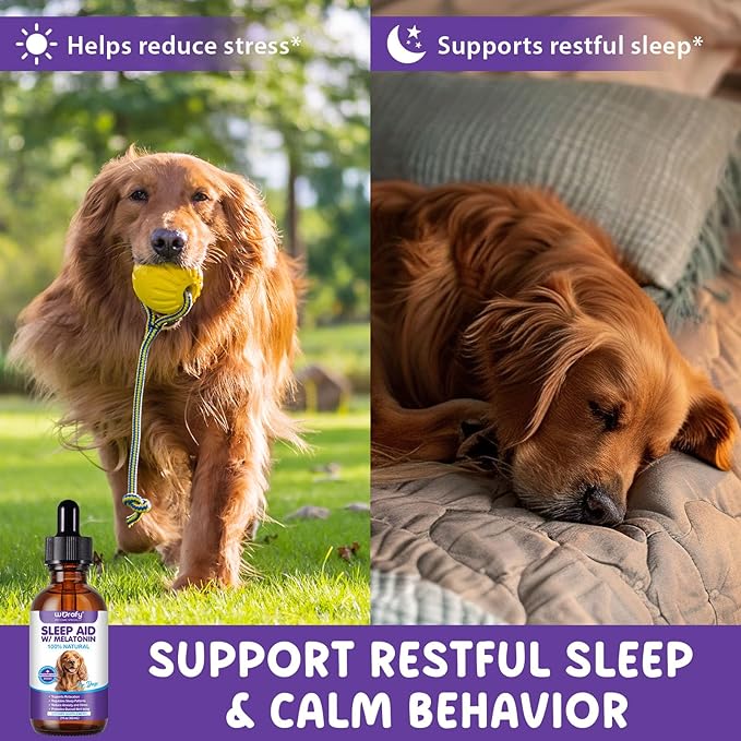 Melatonin for Dogs, Sleep Aid Drops Supports Dog Sleep, Dog Anxiety Relief, Calming Dogs & Regulates Sleep Patterns - Pet Supplies Supplement Liquid Vitamins, Bacon Flavour - 2 Fl Oz / 60ml