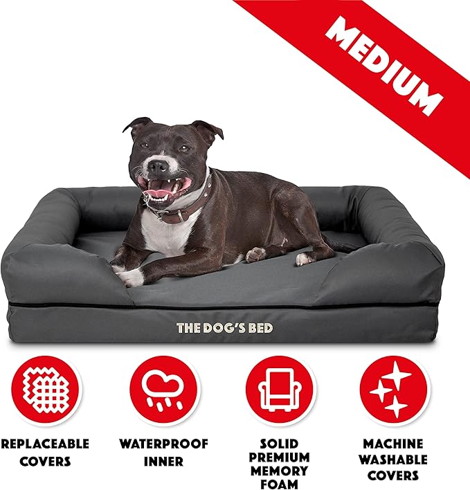 The Dog’s Bed Orthopedic Memory Foam Dog Bed with Bolsters for Medium Dogs, High Density Support Mattress, Low Front Entry, Removable Washable Cover, Oxford Fabric, Grey with Black Trim, Medium