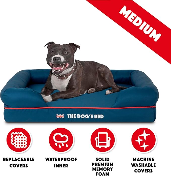 The Dog’s Bed Orthopedic Memory Foam Dog Bed with Bolsters for Medium Dogs, High Density Support Mattress, Low Front Entry, Removable Washable Cover, Oxford Fabric, Blue with Dark Red Trim, Medium