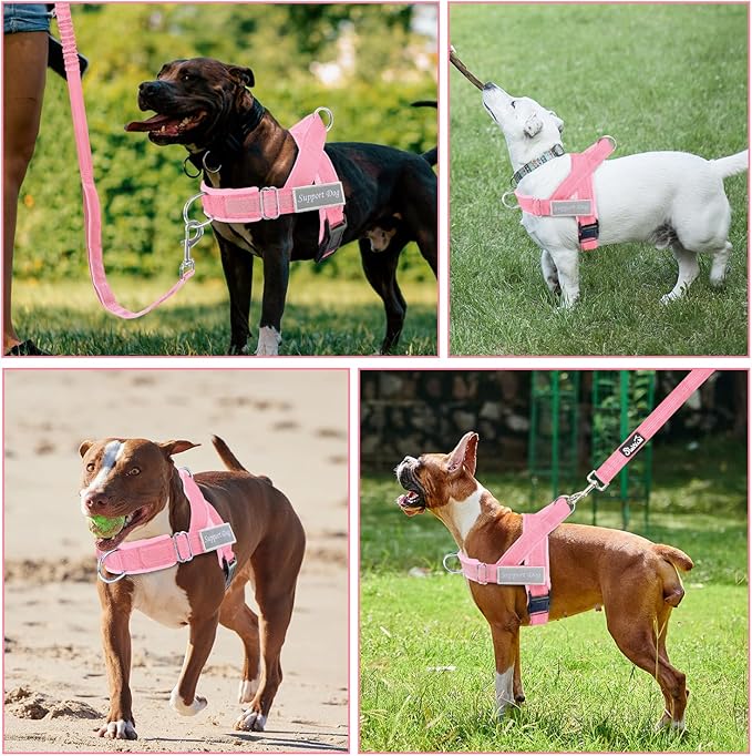 Lukovee No Pull Dog Harness & Leash Set - Heavy Duty Dog Vest Harness with Soft Padded for Medium Large Dogs, Adjustable Reflective Tactical Pet Harness for Easy Walk and Training (L, PI)
