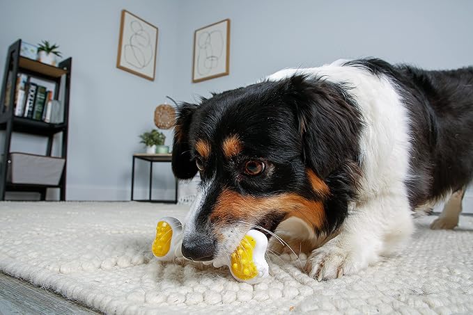 Hartz Chew ‘n Clean Twisty Bone Dog Chew Toy, Bacon Scented Chew Toy for Moderate Chewers, Small/Medium, Color Varies