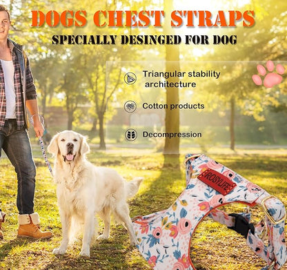 No Pull Dog Harness Adjustable Small Dog Harness and Leash Set, Lightweight and Soft Dog Harness No Choke Escape Proof Pet Harness Vest (Orange Rose, M)