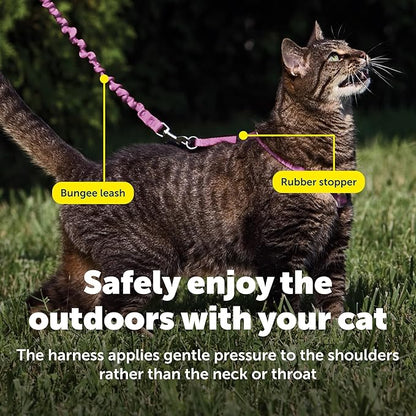 PetSafe Come With Me Kitty Cat Harness & Bungee Leash - Comfortable Cat Harness with Lightweight Bungee Leash for Outdoor Fun - More Secure Walks - Small - Dusty Rose