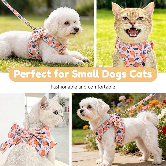 BAEJMJK Dog Harness and Leash Set with Bow Knot No Pull Pet Floral Harness with D-Ring Soft Mesh Dog Harness Vest Set Escape Proof Princess Puppy Harness for Small Girl Dogs Cats（Orange XS）