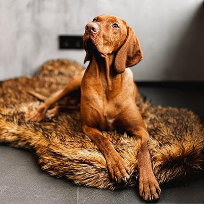 IHAPPYDOG Luxury Faux Fur Orthopedic Dog Bed, Memory Foam Dog Bed for Small, Medium, Large and XL Pets, Fluffy Pet Bed with Waterproof and Washable Cover (Brown, 50"x30")