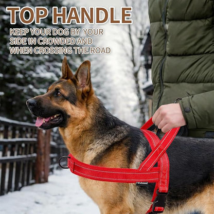 No Pull Dog Harness and Leash Set-Reflective Vest with Handle&5FT Dog Leash with Car Seatbelt Clip,Breathable Mesh&Quick Fit Dog Harness Easy for Medium Large Dogs Training Walking(Red,M)