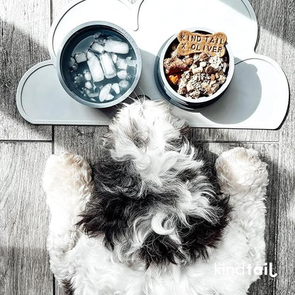 KindTail Dog Travel Bowls - Set of 2 Portable Pet Food & Water Dishes with Lid & Handle - Each Nesting Container Includes a Non-Slip Silicone Base - Microwave & Dishwasher Safe - BPA & Toxin-Free