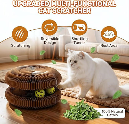 Twisty Paws Cat Toy - 2 Pack Magic Organ Kitty Curl Scratcher, Interactive Magnetic Cardboard Shape Shifting, Reversible Accordion Kurlz Board with Bell-Ball for Indoor Cats