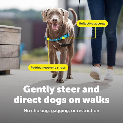 PetSafe Easy Walk Deluxe Dog Harness, No Pull Dog Harness – Perfect for Leash & Harness Training – Stops Pets from Pulling and Choking on Walks – Medium, Ocean