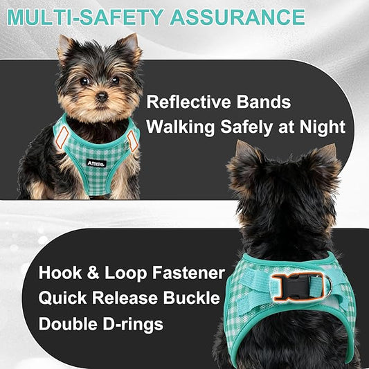 AIITLE Adjustable Dog Harness and Leash Set, Step in No Pull Pet Harness, Soft Mesh Reflective Plaid Vest Harnesses for Small Dogs Puppy and House Cats Outdoor Walking Running Turquoise XS
