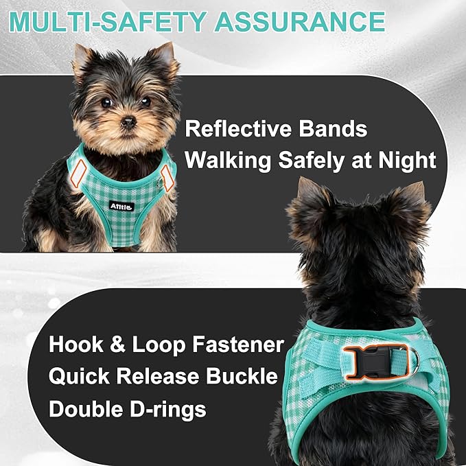 AIITLE Easy Walk Dog Vest Harness and Leash Set, Pet Supply No Pull, Breathable Mesh, Reflective Stripes, Adjustable Escape Proof Pet Outdoor Harnesses for Medium Dogs Turquoise L