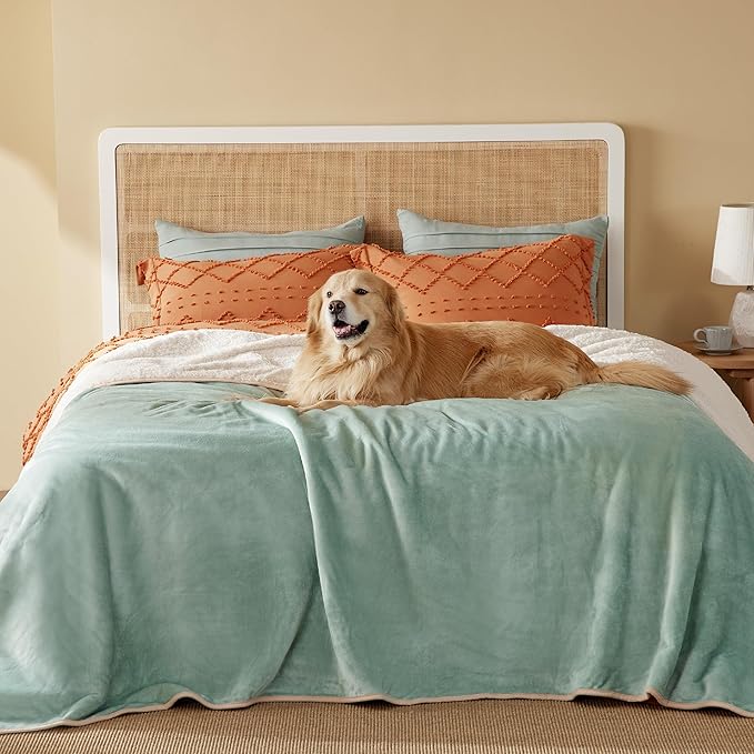 Bedsure Waterproof Blanket for Bed - Sherpa Fleece Waterproof Dog Blankets for Large Dogs, Pet Blankets for Bed/Couch/Dog Crate, Soft Plush Reversible Furniture Protector, Queen, 90"x86", Light Green