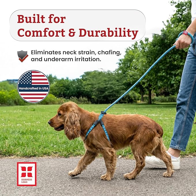 Harness Lead No Pull Dog Harness and Leash Set, Anti Pull Dog Harness for All Breeds and Sizes, One-Piece Cushioned Rope Design Safely Prevents Escaping and Pulling (Medium/Large, Orange/Reflective)