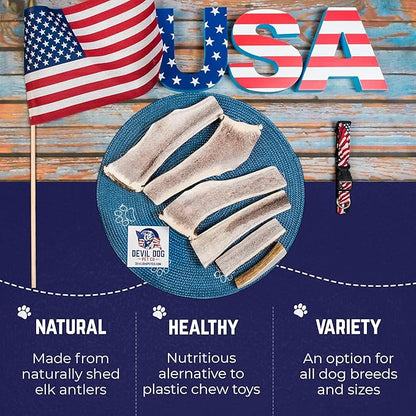 Devil Dog Pet Co - Split Elk Antler for Dogs Small 2 Pack - Exposed Marrow Chew for Puppies & Moderate Chewers - Naturally Shed Grade A Rocky Mountain Elk, Anxiety & Boredom Relief (Up to 15 lbs)