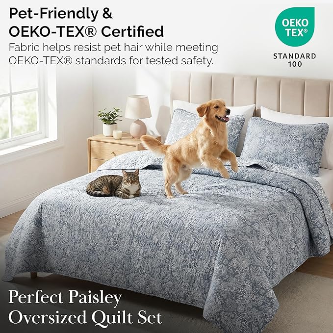 Southshore Fine Living, Inc. Paisley Quilt Queen Size Bedding Set, Full Size Quilted Coverlet, Boho Bedspreads Queen Size Set with Two Matching Pillow Shams, Full/Queen, Reversible Blue