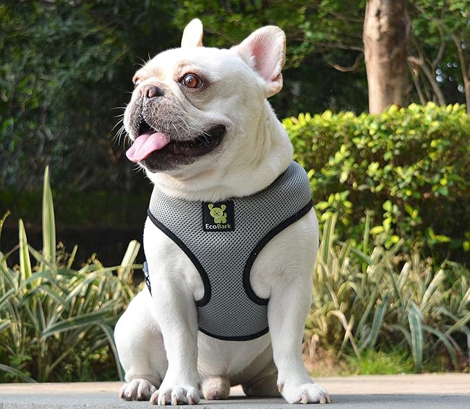 EcoBark Dog Harness - Eco-Friendly Max Comfort Harnesses - Luxurious Soft Mesh Halter - Over the Head Harness Vest- No Pull and No Choke for Small, Toy Breed, and Teacup Dogs (XS, Gray)