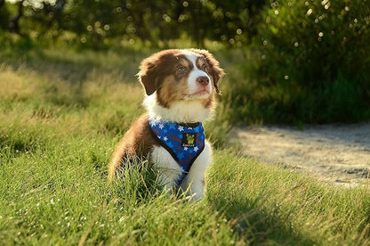 EcoBark Dog Harness - Eco-Friendly Max Comfort Harnesses - Luxurious Soft Mesh Halter - Over The Head Harness Vest- No Pull and No Choke for Puppy, Small Breeds & Medium Dogs (Large, Nautical Anchor)