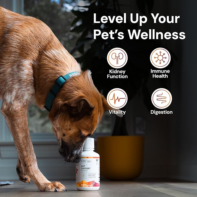 ION* Intelligence of Nature Gut Support for Pets - Liquid Probiotics Drops Alternative for Dogs & Cats, Digestive Health for Puppies, Skin & Hair Health - 8 fl oz (Pack of 1)