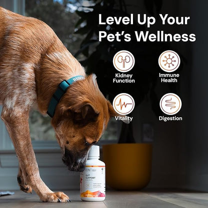 ION* Intelligence of Nature Gut Support for Pets - Liquid Probiotics Drops Alternative for Dogs & Cats, Digestive Health for Puppies, Skin & Hair Health - 8 fl oz (Pack of 1)