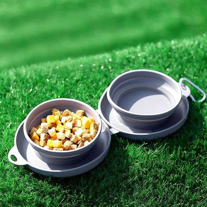 Collapsible Double Dog & Cat Bowl, 2-in-1 Silicone Food & Water Dish Portable Travel Feeding Bowl for Camping (Small)