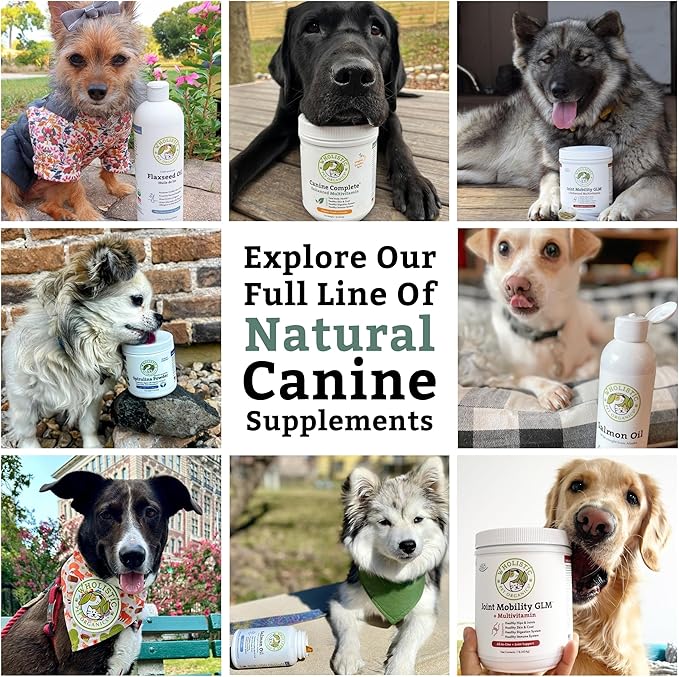 Wholistic Pet Organics Canine Complete - Dog Multivitamin Powder - 4 Lb - Daily Dog Vitamins and Supplements for Homemade Food - Immune System, Skin, Coat & Overall Health - All Breeds - 180 Scoops