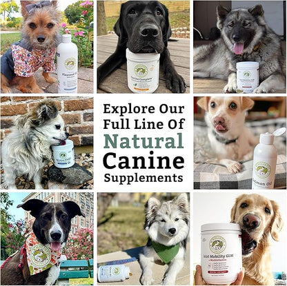 Wholistic Pet Organics Canine Complete - Dog Multivitamin Powder - 4 Lb - Daily Dog Vitamins and Supplements for Homemade Food - Immune System, Skin, Coat & Overall Health - All Breeds - 180 Scoops