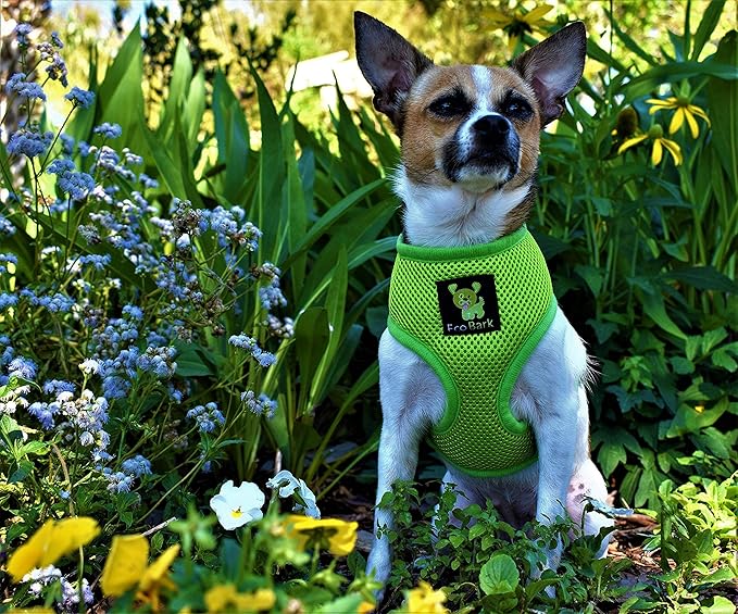 EcoBark Dog Harness - Eco-Friendly Max Comfort Harnesses - Luxurious Soft Mesh Halter - Over The Head Harness Vest- No Pull and No Choke for Puppy, Toy Breeds & Small Dogs (Small, Green)